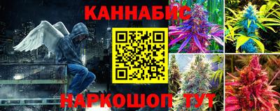 ешки Дубна